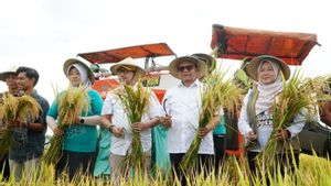 Pemkab Pati Buktikan Keberhasilan Program Panen Padi 10 Ton/Hektare