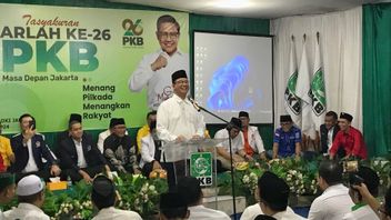 Haven't Received DKI Cagub Recommendations From PKB-NasDem DPP, Anies Doesn't Care