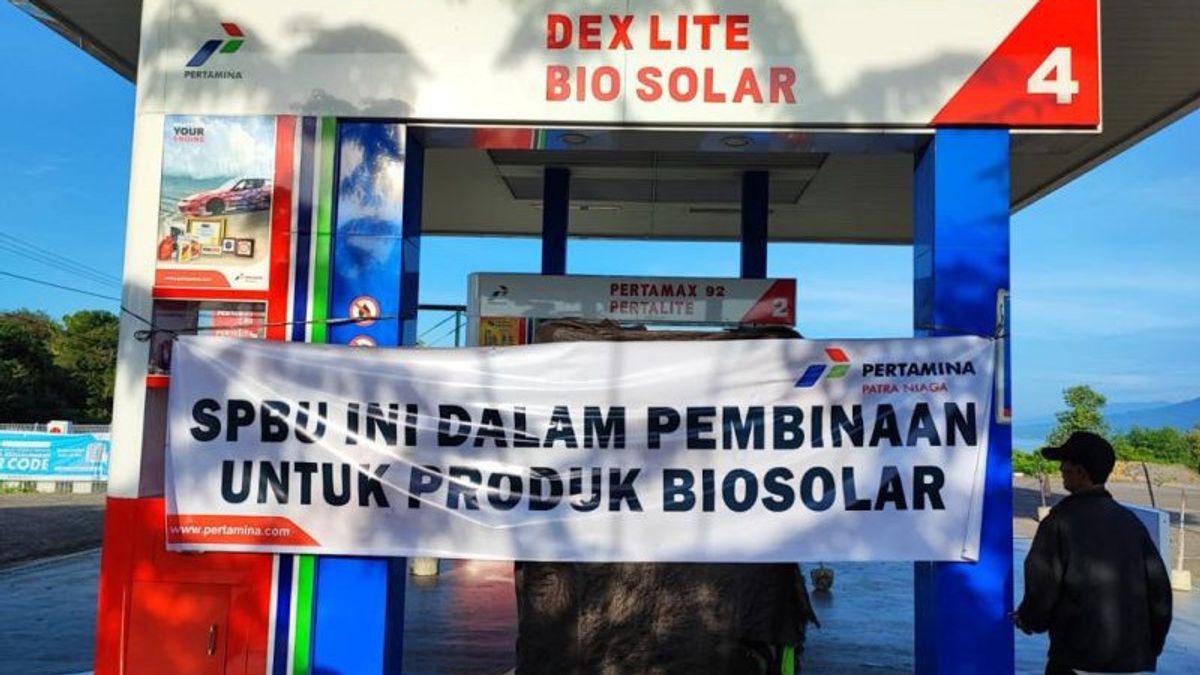 Isi BBM ke Pelangsir, Pertamina Sanksi SPBU di Lembata NTT Berupa Pencabutan Alokasi Solar Selama Sebulan