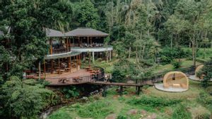 Festival Akhir Tahun Enchanting Valley : Pesta Musik dan Kuliner Liburan Terbaik