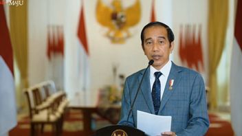 Jokowi向DPR提交的18个监察员候选人名称