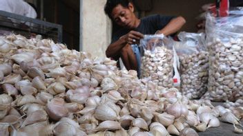Indonesia Imports Garlic, Buffalo Meat, And Granulated Sugar To Fill Food Stocks During Ramadan And Eid Al-Fitr