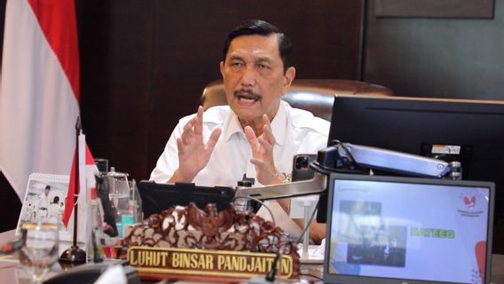 Luhut Brings Good News, Pfizer Will Invest In A Number Of Sectors In Indonesia