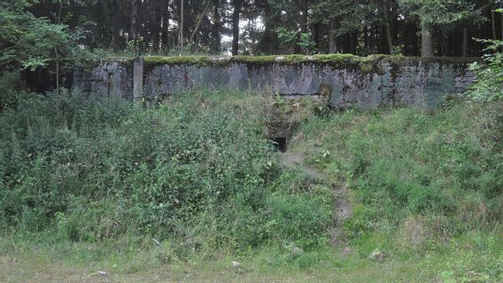 Polish Scientists Successfully Lead A Massive Flight Action From The USSR Nuclear Bunker