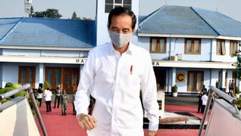 Not Inviting The Minister Of Agriculture To Work On A Food Barn In Central Kalimantan, Jokowi Shows A Signal Of Disappointment