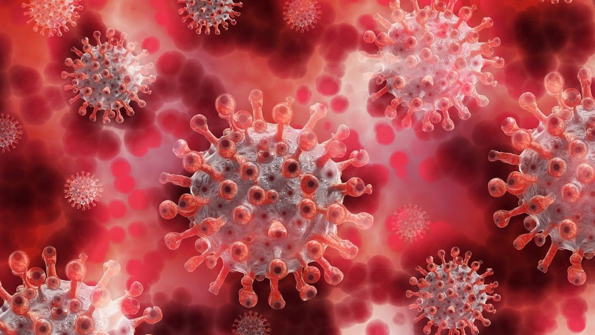 وزير الصحة بودي: وفاة 5 أشخاص بسبب متغير أوميكرون COVID-19، وبعضهم لم يتم تطعيمه