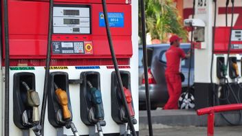 مراقب: إذا لم ترفع أسعار الوقود، فإن بيرتامينا لديها القدرة على الخسارة ويجب على الحكومة التعويض