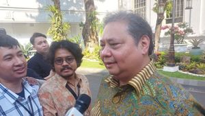  Airlangga Diisukan Mundur Jadi Ketum Golkar, Nurdin Halid: Pokoknya 50:50