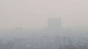 Pembenahan Transportasi Dianggap Solusi Atasi Polusi Jakarta