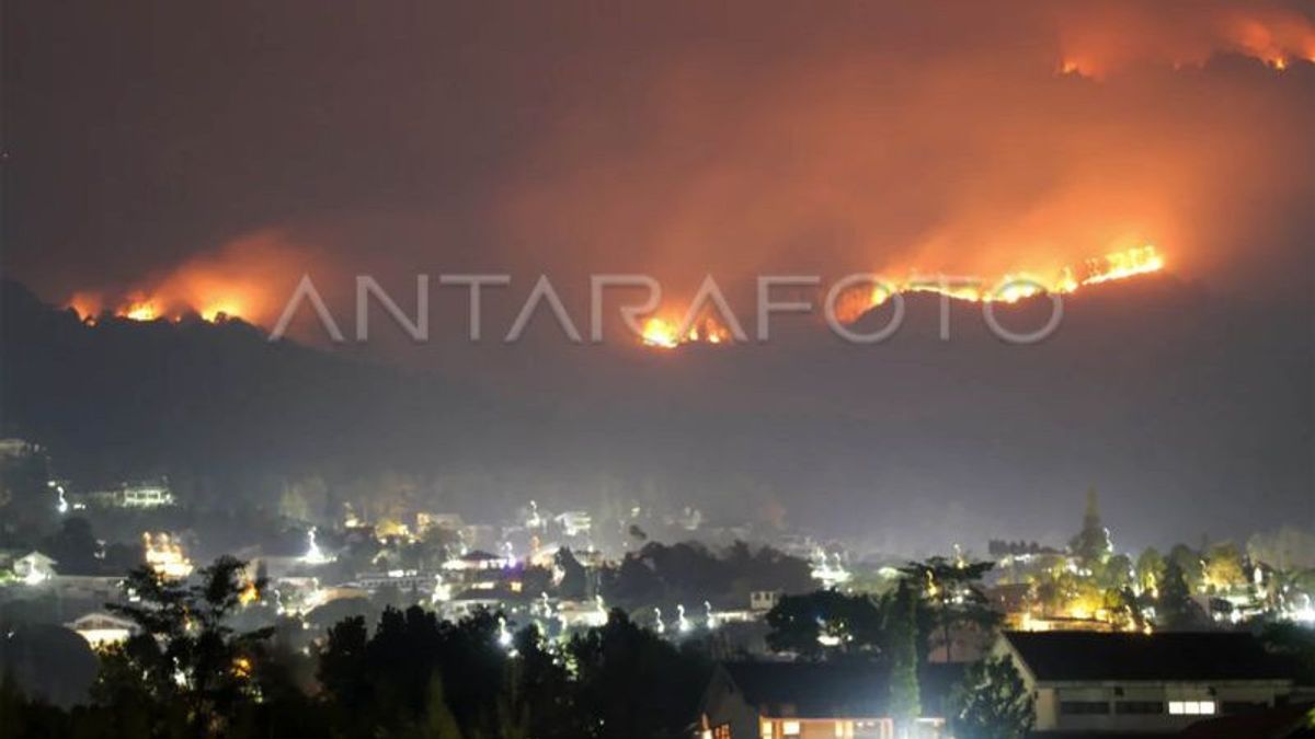The Fire And Forest Fire Department Of Mount Arjuno Via Land Was Fired After Water Bombing