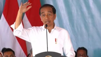 Chat With The Owner Of A Car Paint Workshop, Jokowi Presses The Importance Of Business Financial Reports
