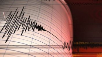 Bitung Sultra Diguncang Gempa Magnituda 5,8