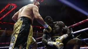 World Boxing Results: Zhang Hits Wilder's KO, Bivol Holds Title