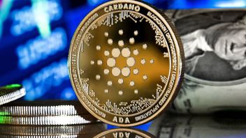 Cardano Is Increasingly Shining In The Third Quarter, Here's The Proof!