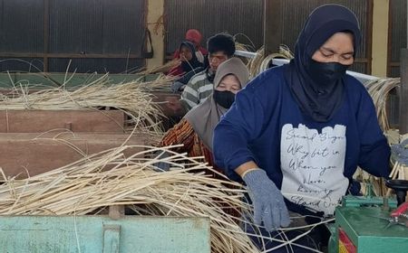 Ekonom UNS: Implementasi Pertanian Organik Bisa Akselerasi Pemajuan Industri Agro