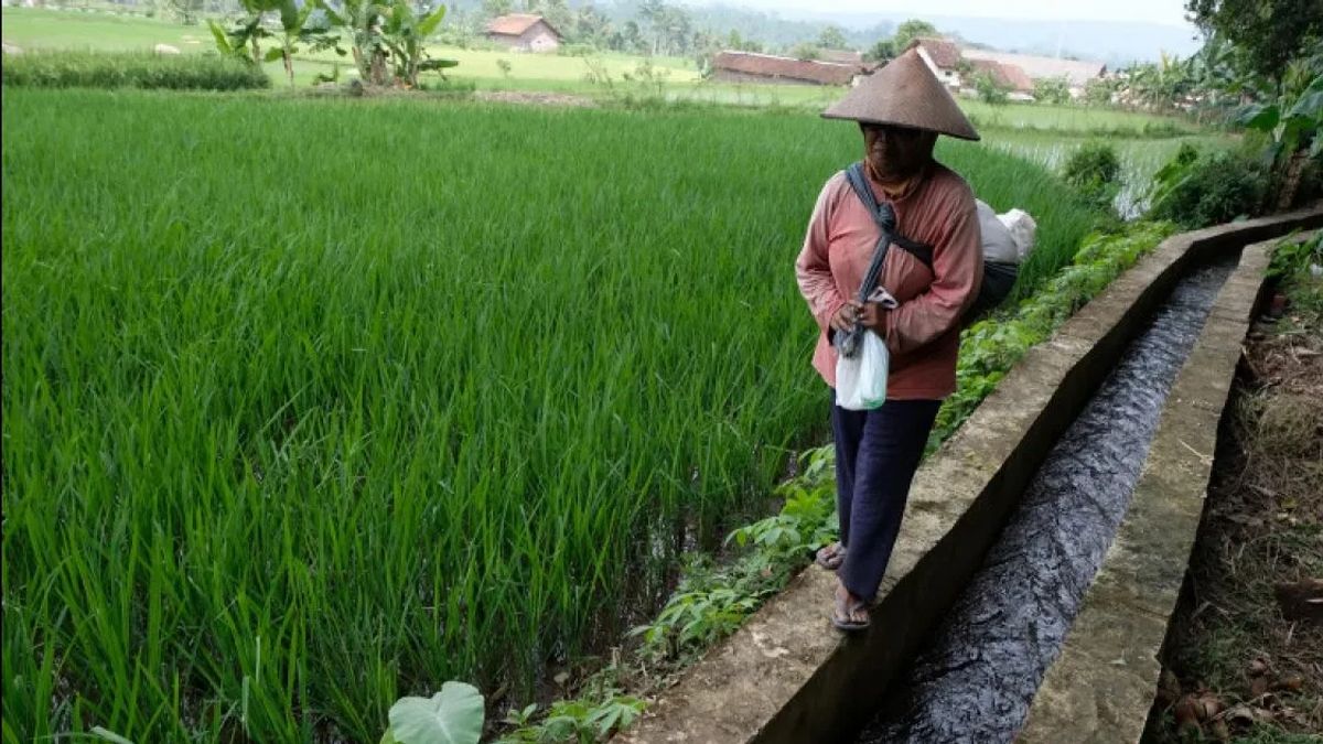 Le ministère a versé 11 milliards de roupies pour le développement de 60 Irrigations à Bengkulu
