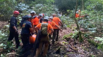 肯塔基州失踪2周的登山者,在搜救队听到呼救声后,再见