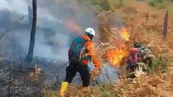 BKSDAは再びパパンダヤン山の森林火災を消火するために将校を降ろす