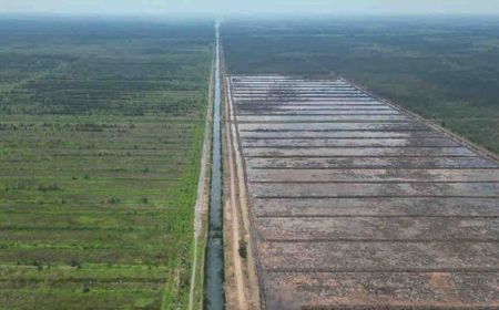 Kementan Pastikan Program Cetak Sawah 3 Juta Hektare Didukung Presiden Terpilih Prabowo