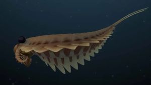 Ilmuwan Ungkap Predator Bermata Tiga Mengintai Lautan 500 Juta Tahun Lalu