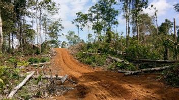 Kantongi Kuitansi Aktivitas Jual Beli Kawasan Hutan, KPHP Layangkan Surat Teguran ke-2