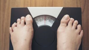 Berat Badan Naik Setelah Lebaran? Ikuti Saran Pakar Gizi IPB