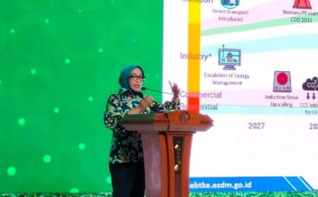 Kementerian ESDM: Sejumlah Bendungan Dapat Dimanfaatkan untuk Hybrid Dam Program