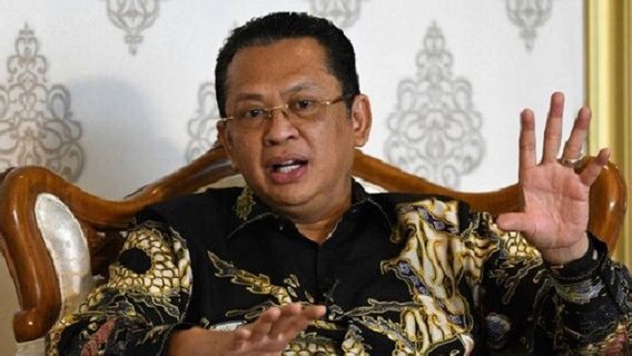 KKB Papua Menjadi-jadi, Ketua MPR Angkat Bicara