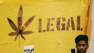 Legalisasi Ganja di Amerika: Bukti UU Narkotika Sudah Ketinggalan Zaman