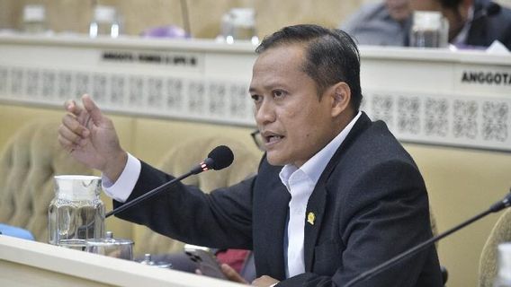 Legislator Gerindra Soroti soal Papua Selatan, Film Pesta Babi dan Perang Persepsi di Era Propaganda Modern