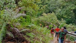 Cuaca Buruk, Longsor dan Pohon Tumbang Terjadi di Padang