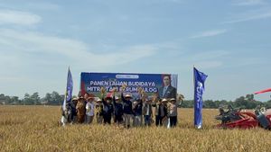 Bulog Terapkan Teknologi Pertanian Modern di Karawang, Produktivitas Padi Meningkat
