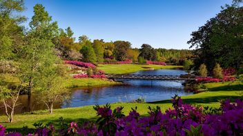 WHO, 안전하고 포괄적이며 아동 친화적 인 공공 장소 가이드 발표