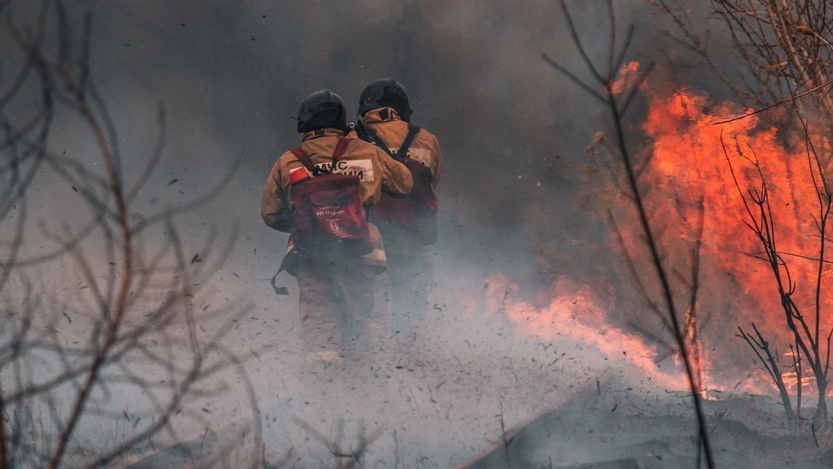阿罕杜利拉， 马赫夫德 Md 呼吁森林火灾在 2020 年下降到 81%