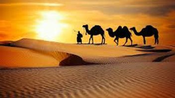 ronyme : Pourquoi Abu Bakar a-t-il osé se sacrifier pour les intérêts de l'islam? C'est la raison