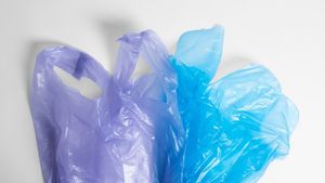 Paris donne des sacs d'anti-pollution aux nourrissons contre la pollution en plastique