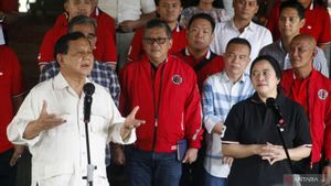 Puan Maharani Temui Prabowo: Langkah Awal Sebelum Menciptakan Kejutan dalam Perpolitikan di Indonesia