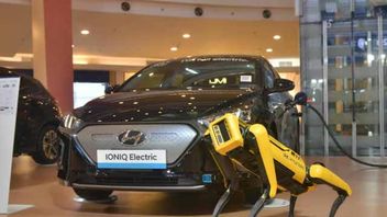 Hyundai Conçoit Une Métamobilité Qui Connecte Les Robots Pour Interagir Avec Les Humains