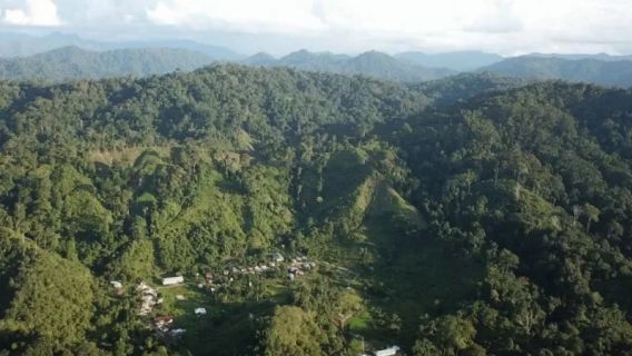 Janji Gubernur Kaltara: Bakal Kasih Insentif untuk Warga yang Jaga Hutan