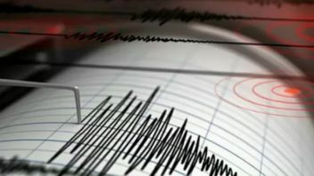 穆科穆科今天早上两次被地震震撼