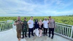  Pembangunan Menara di Hutan Mangrove Langsa Rampung 2023