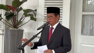 Pramono Concerning The Discourse Of Cat Island In Jakarta: Can't Rush