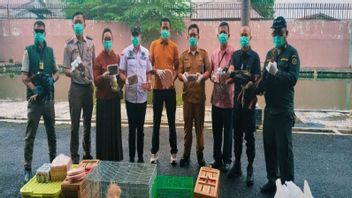 60 Hewan Tak Bersertifikat Dibawa Penumpang Pesawat Dimusnahkan Karantina Sumut