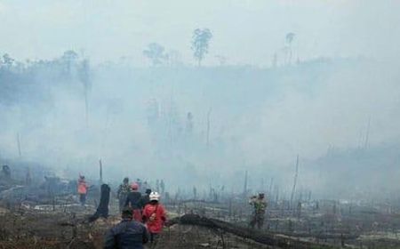 KLHK Sebut WWF Rugikan Reputasi Sendiri