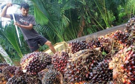 Boom Komoditas Usai, Sri Mulyani Prediksi PNBP Tahun Depan Anjlok 6,7 Persen