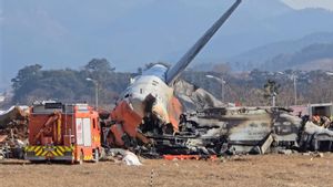 The Ministry Of Transportation Of South Korea Ensures That The Concrete Structure At Muan Airport Is In Accordance With The Rules