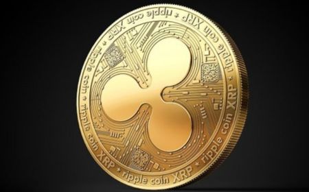 Angin Segar Buat Komunitas XRP, Elon Musk Dukung Ripple Lawan SEC