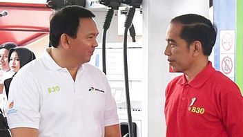 Gibran Putra Jokowi Maju Pilpres 2024, Ahok: <i>A Friend is Always Loyal</i>, Soal Pilihan Hak Masing-masing