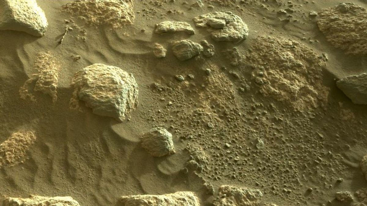 忍耐は完全に詳細に火星の岩の新しい写真を送信します
