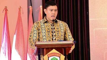 Golkar Strategy Gaet 60 Percent Of Young Voters, Look For Attention To Law Policies In The DPR